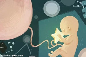 有偿代孕服务方式